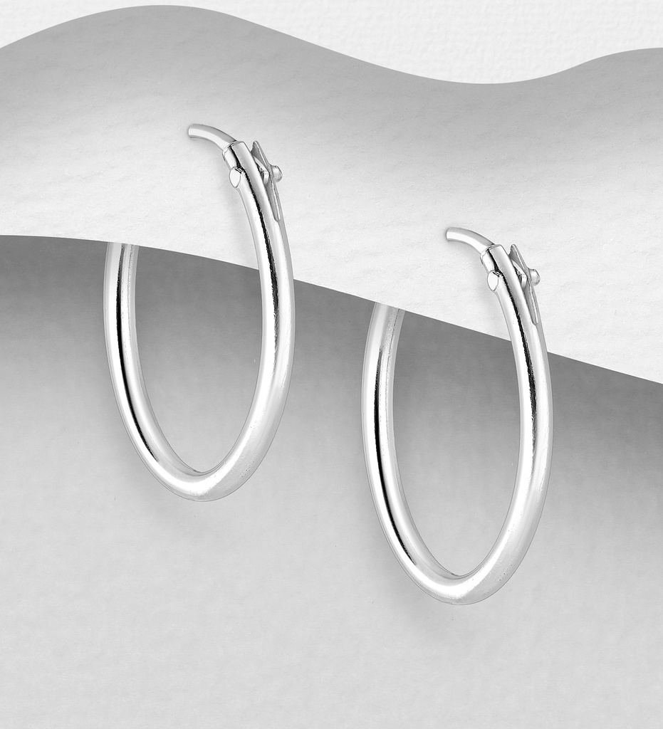 [BOAR-1301] Boucles d'Oreilles - Argent 925 [1301]