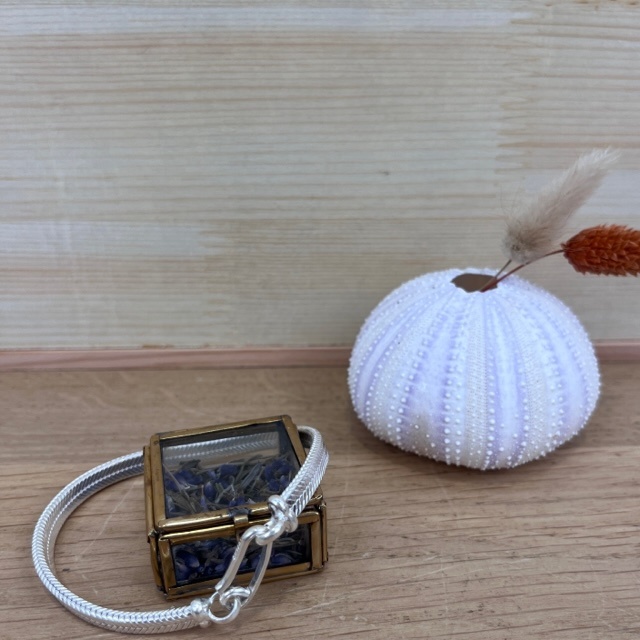 [BRAR-0497] Bracelet Snake - Argent 925 [0497]