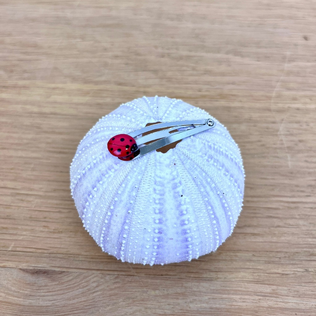 [RIBA-BAR-COCC] Barrette 'Coccinelle'  -  Ribambelle