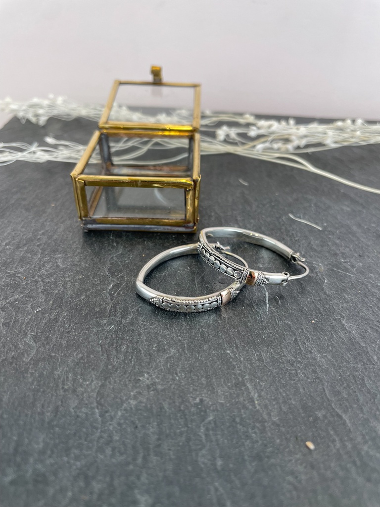 [BOAR-1751] Boucles d'oreilles Argent 925 & Plaqué Or [1751]