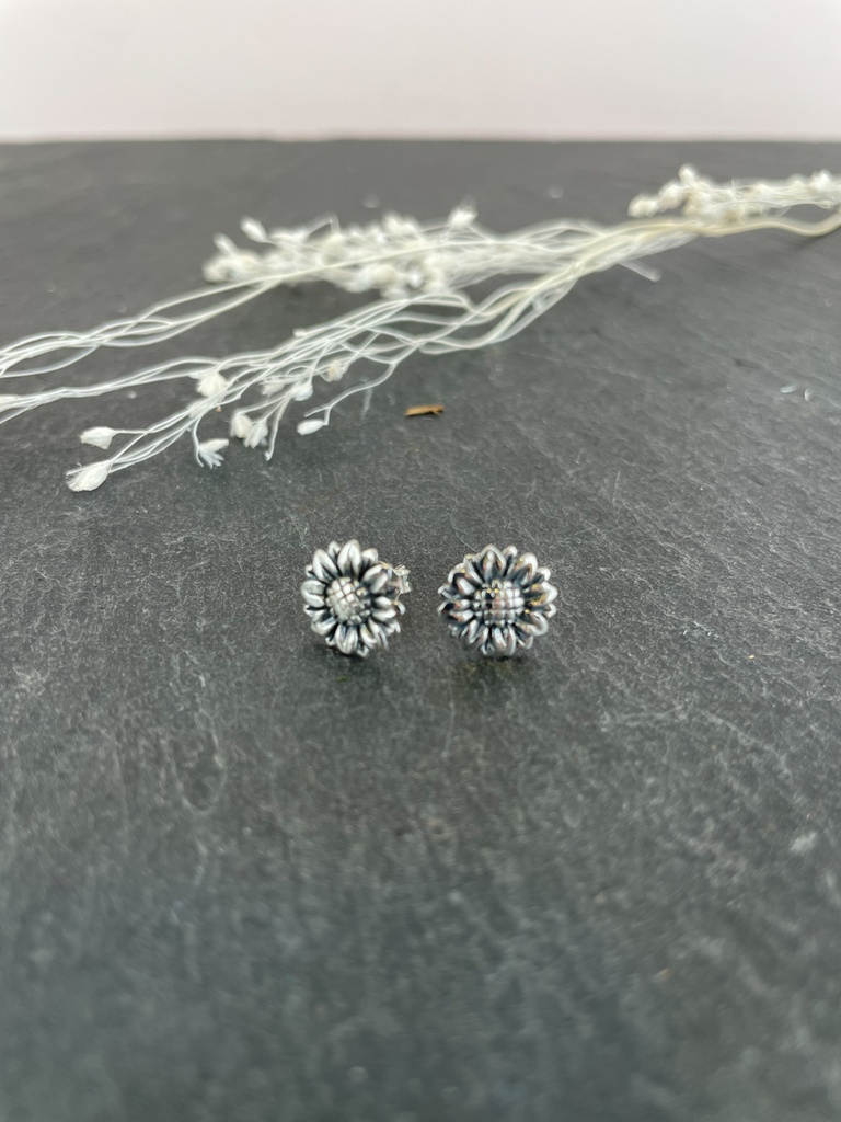 [BOAR-1767] Puces d'Oreilles Argent 925 [1767]