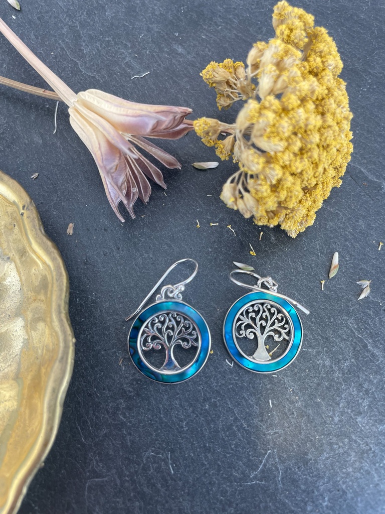 [BOAR-1811] Boucles d'oreilles Argent 925 - Abalone [1811]