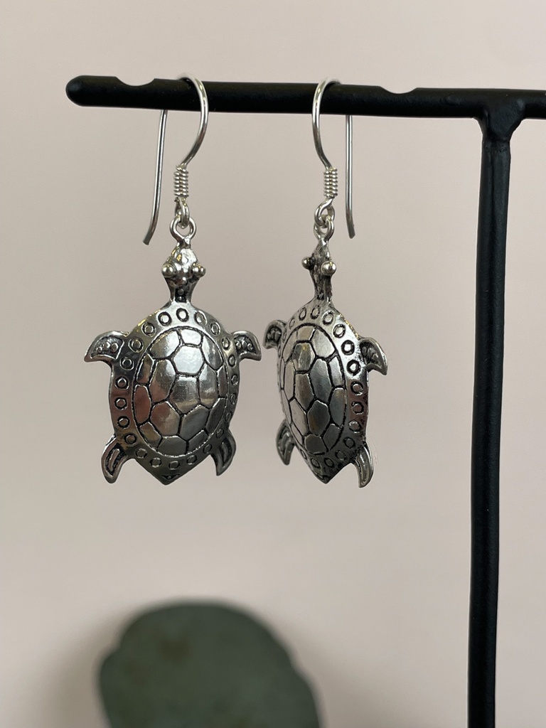 [BOAR-1889] Boucles d'oreilles Argent 925 [1889]