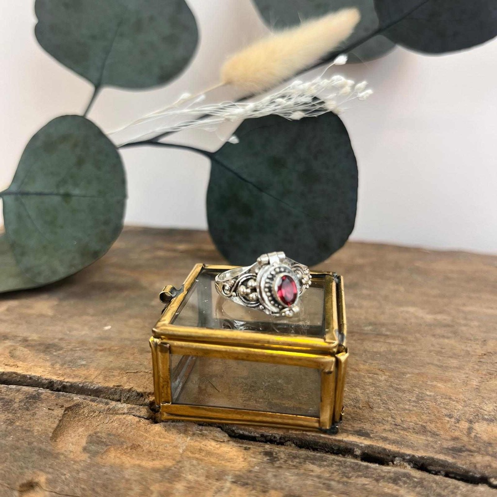 [BAAR-3286-57] Bague Argent 925 - Grenat [3286]