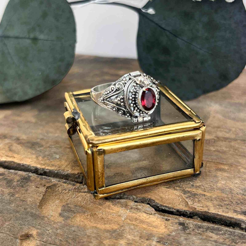 [BAAR-3310-60] Bague Argent 925 - Grenat [3310]