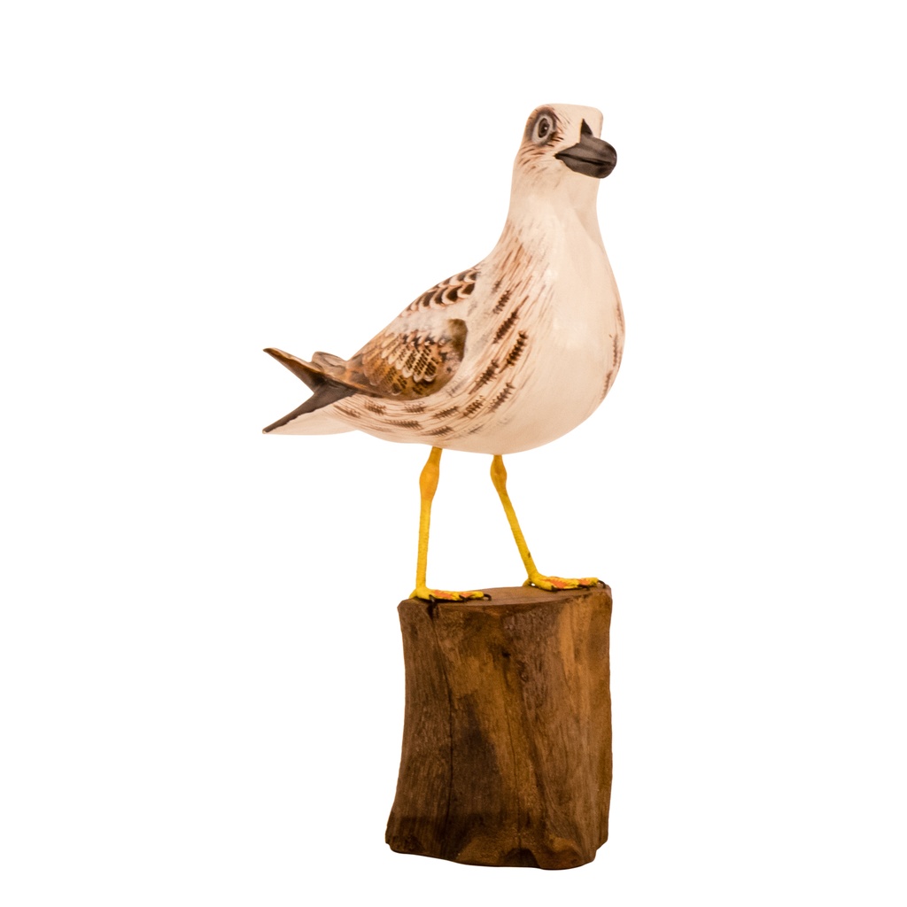 [SEAGULW32] Mouette - Crème & Brun - 32 x 24 x 10 cm