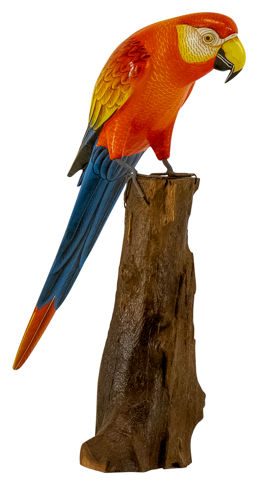 [BIGP-PERROQUET50] PERROQUET Rouge, Bleu, Jaune [Oiseaux en bois]