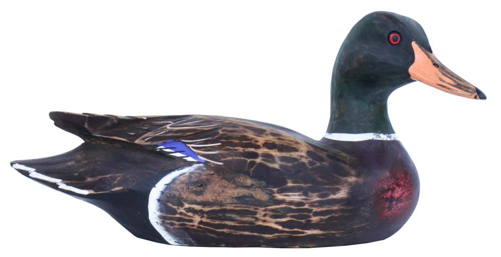 [BIGP-CANARDW16-M] CANARD COLVERT Mâle [Oiseaux en bois]
